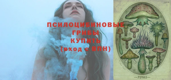 прущий лед Алексин