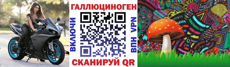 Галлюциногенные грибы GOLDEN TEACHER  гидра ССЫЛКА  Железногорск 